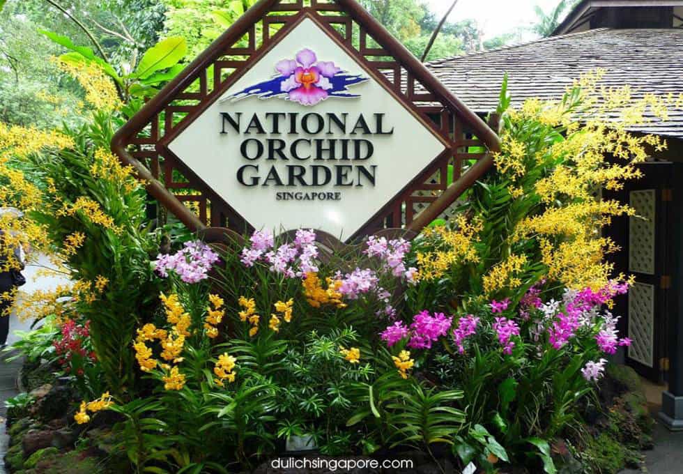 botanic-garden-singapore-viettourist
