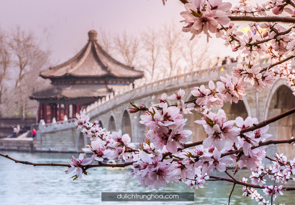 du lịch Bắc Kinh Vạn Lý trường thành mùa hoa anh đào