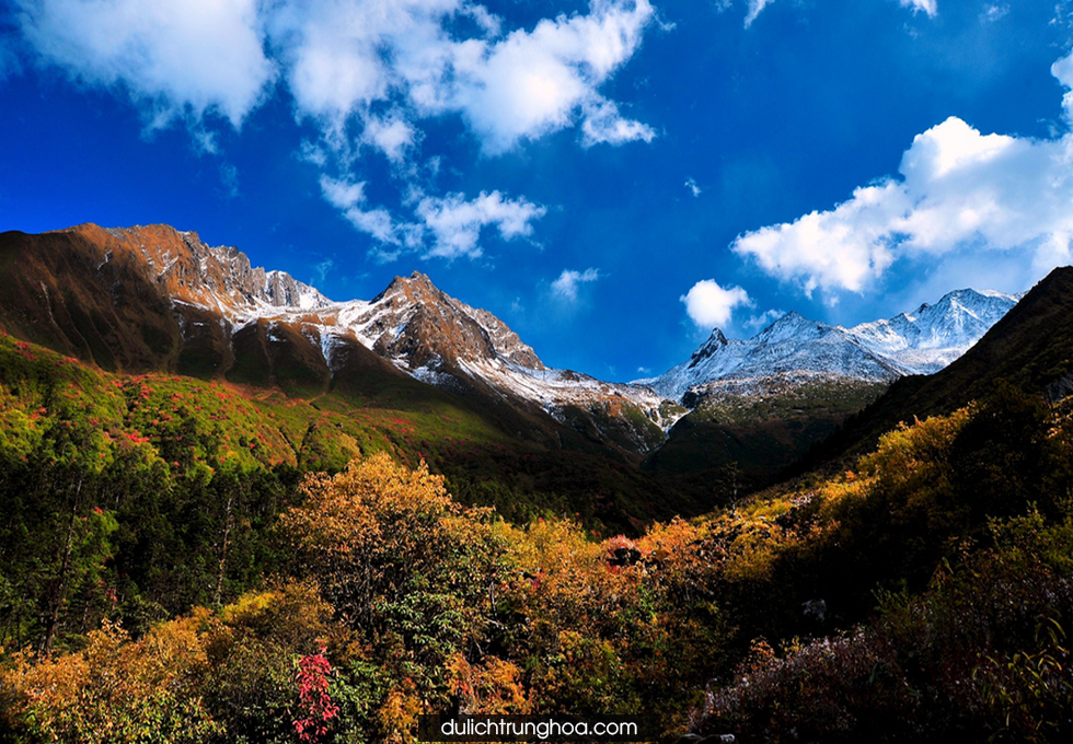 Du Lịch Trùng khánh Thành Đô Núi Nga Mi Lạc Sơn Đại Phật Hải Loa Câu Núi Tuyết