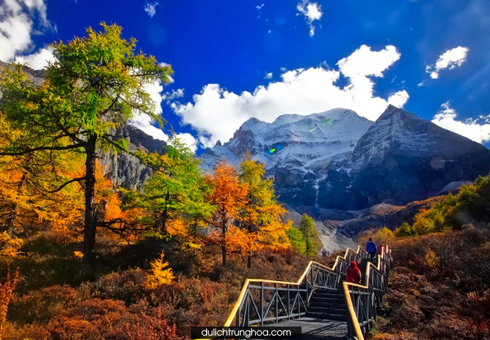 Du Lịch Trùng khánh Thành Đô Núi Nga Mi Lạc Sơn Đại Phật Hải Loa Câu Núi Tuyết